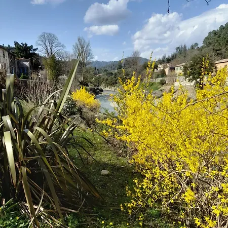 De La Paradine